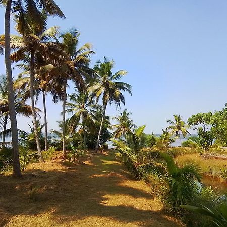 Jc Island Resort Munroe Kollam Exterior photo