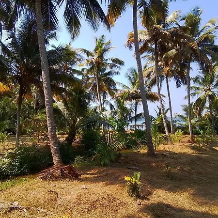 Jc Island Resort Munroe Kollam Exterior photo