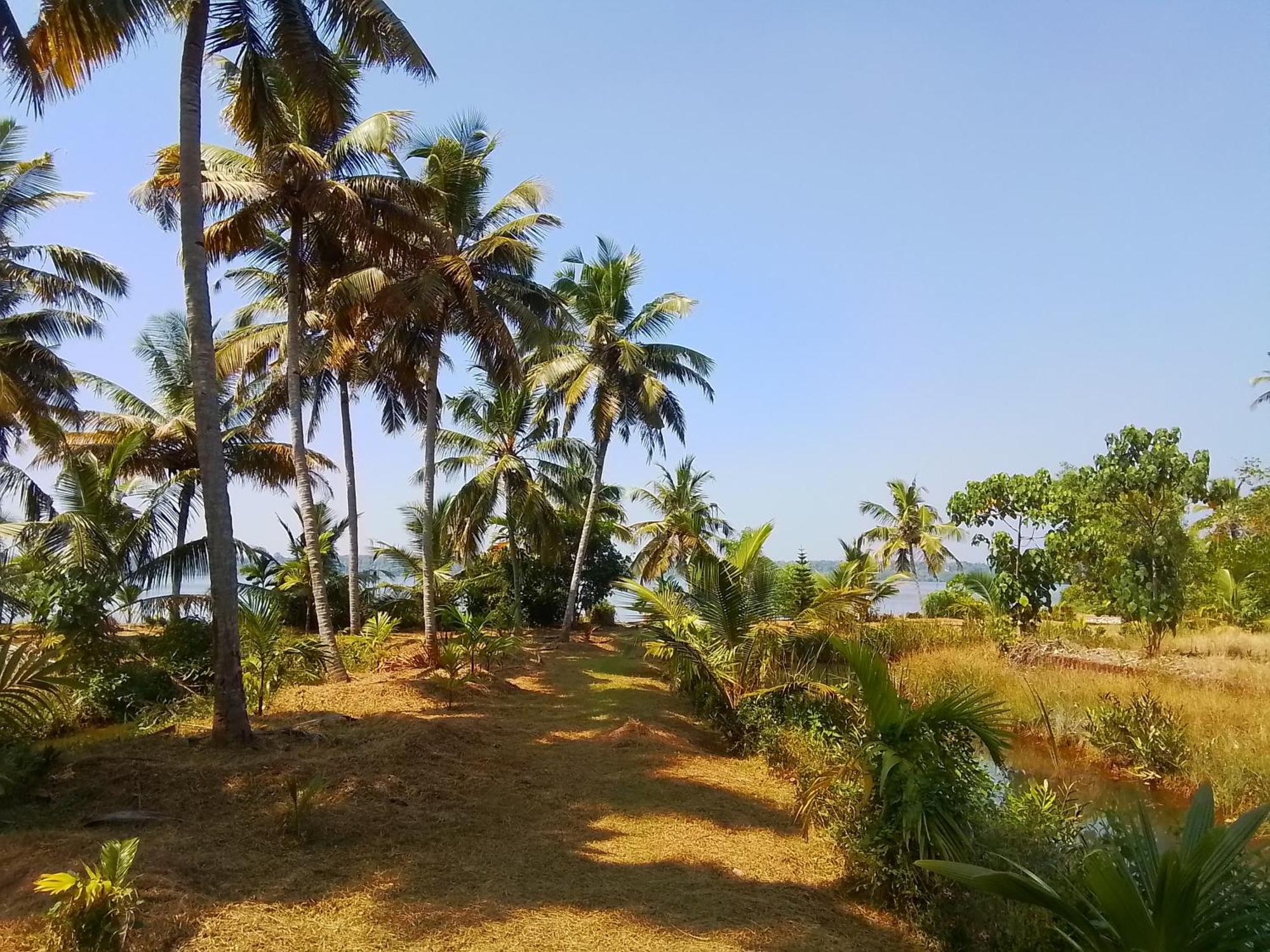 Jc Island Resort Munroe Kollam Exterior photo