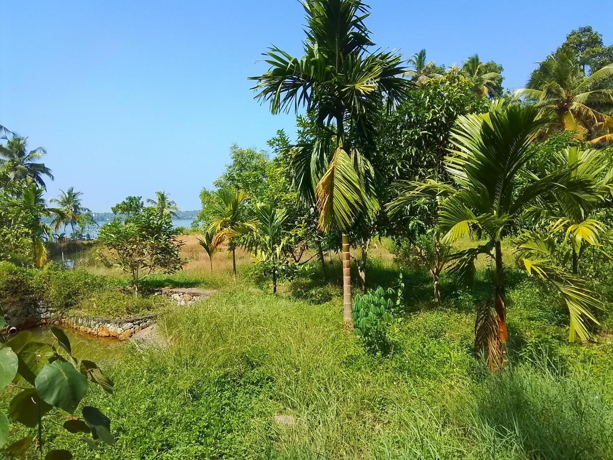 Jc Island Resort Munroe Kollam Exterior photo