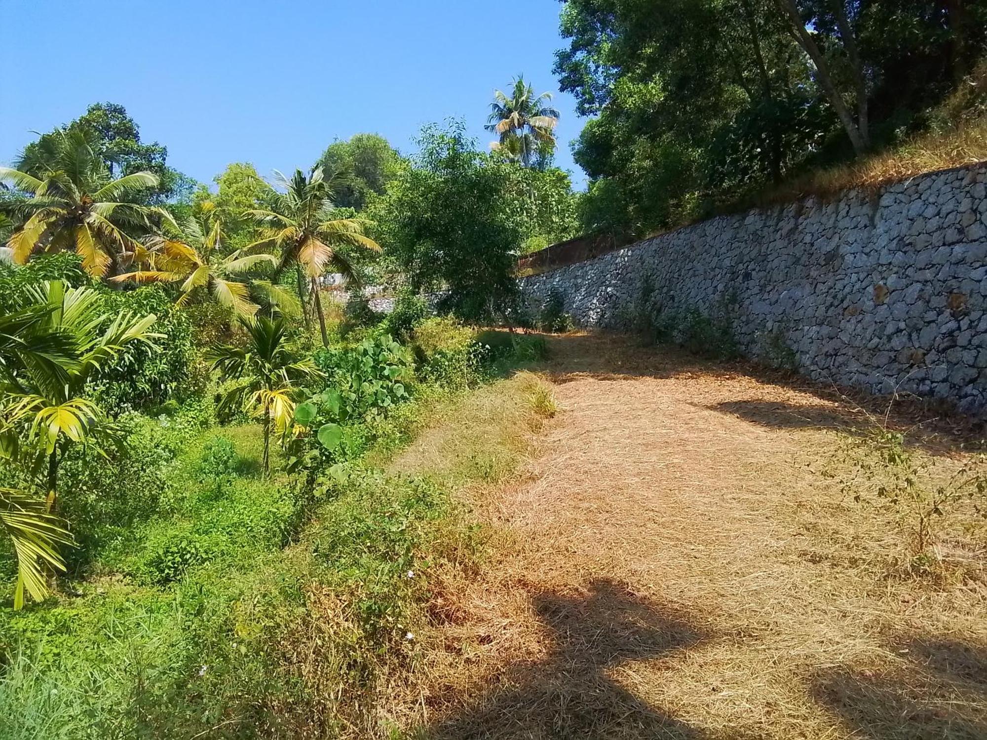 Jc Island Resort Munroe Kollam Exterior photo